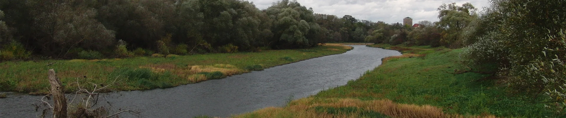 Bannerbild