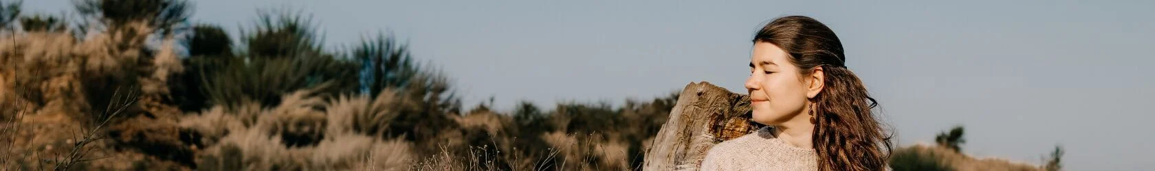 Bannerbild