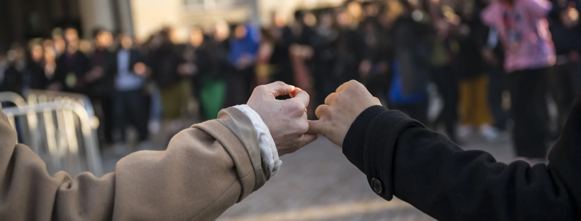 Bannerbild