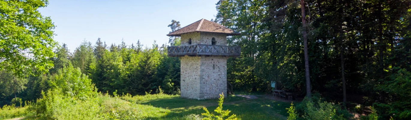 Bannerbild