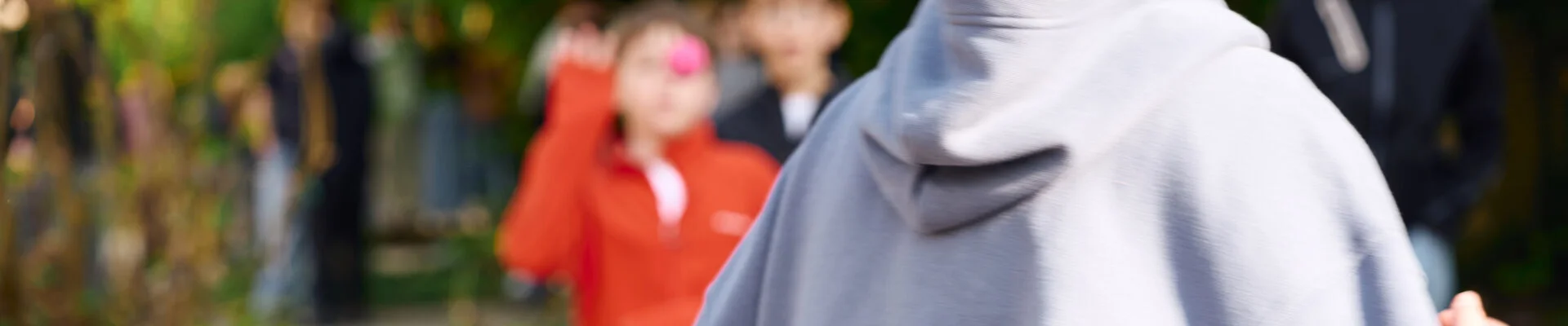 Bannerbild