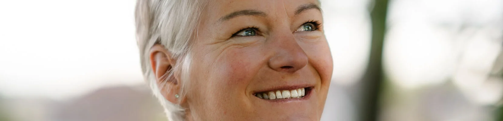 Bannerbild