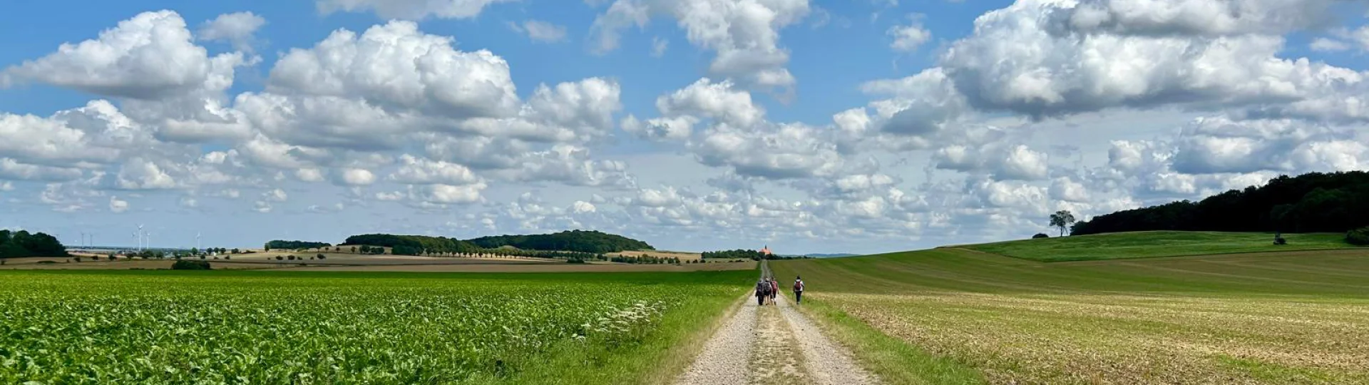 Samstagswandergruppe - Wittenburg August 2026 | zur Startseite