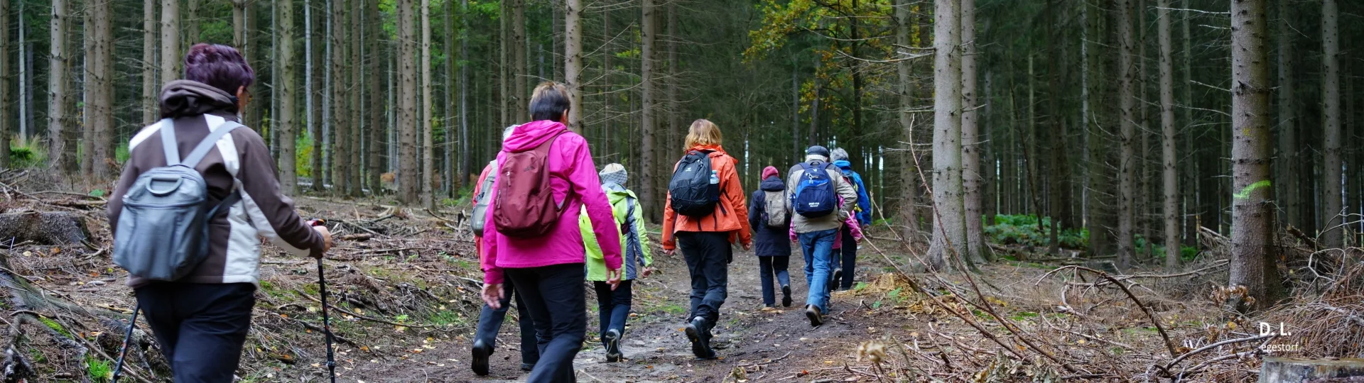 RAD-WANDERGRUPPE: Im Deister - Nov. 2023 | zur Startseite