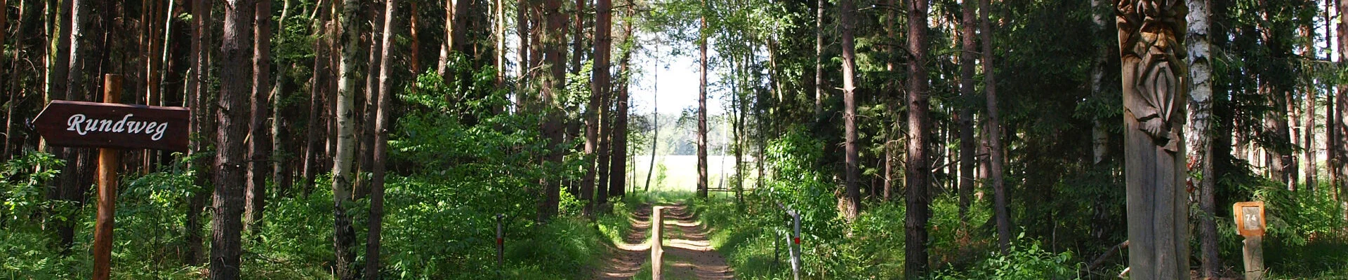 Bannerbild
