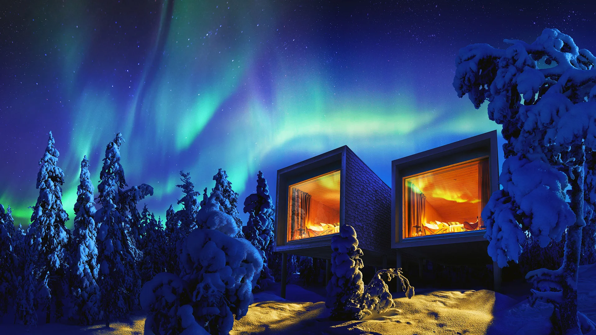 Arctic Tree House kuva