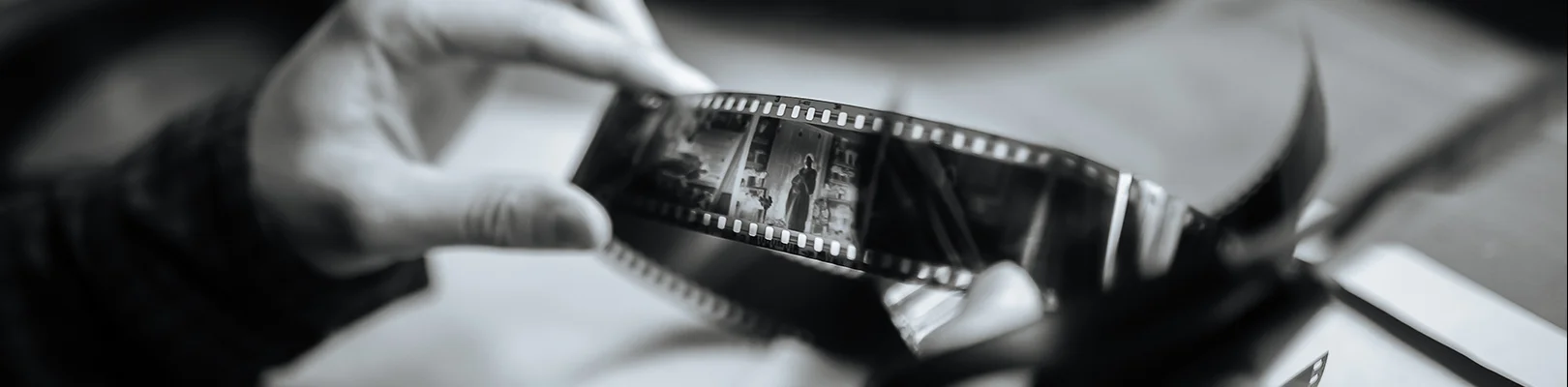 Bannerbild