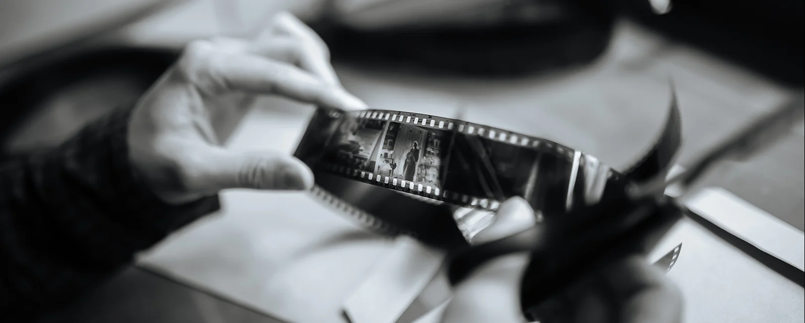 Bannerbild