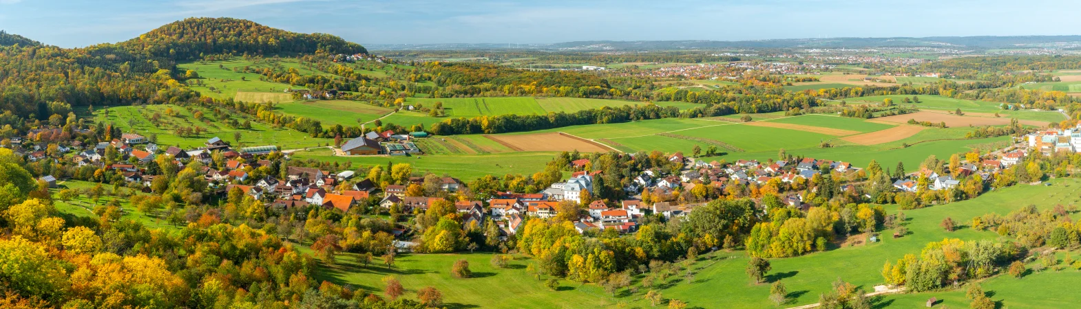 Bannerbild