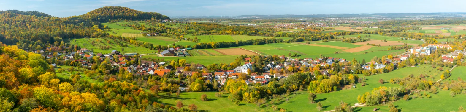 Bannerbild