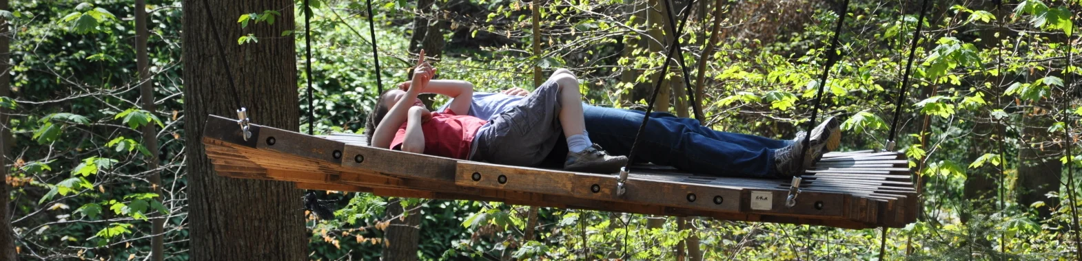 Bannerbild