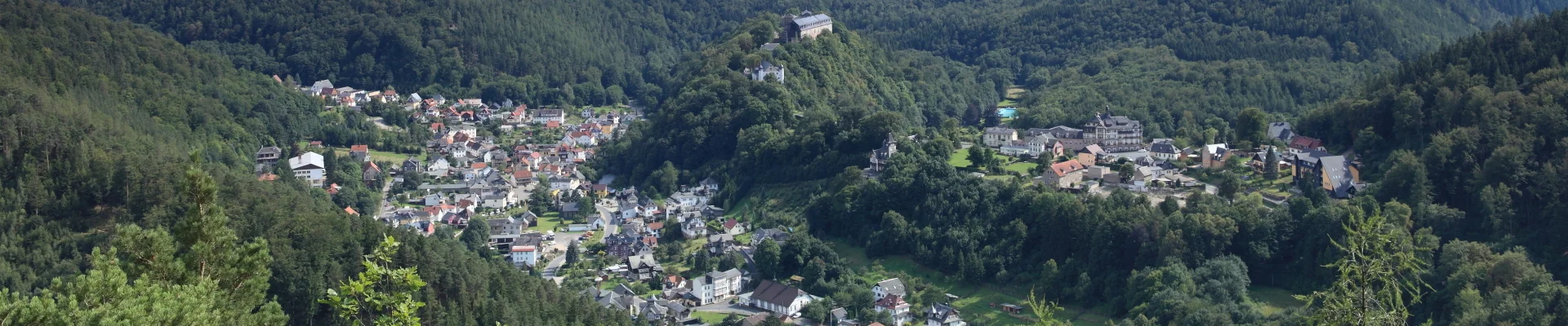 Bannerbild
