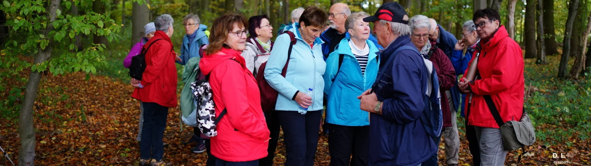 WANDERGRUPPE bis 12 km: Wettberger Holz - Okt. 2025 | zur Startseite