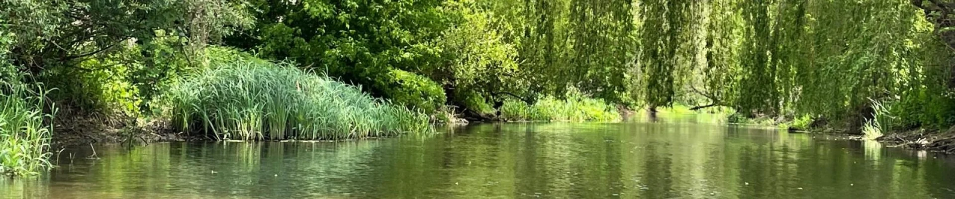 Bannerbild