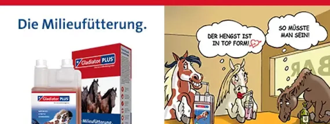 Gladiator Plus Milieufütterung
