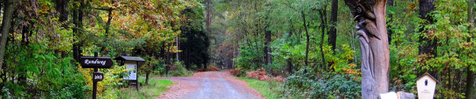 Wanderweg mit Waldgeist in das Naturschutzgebiet "Der Loben"