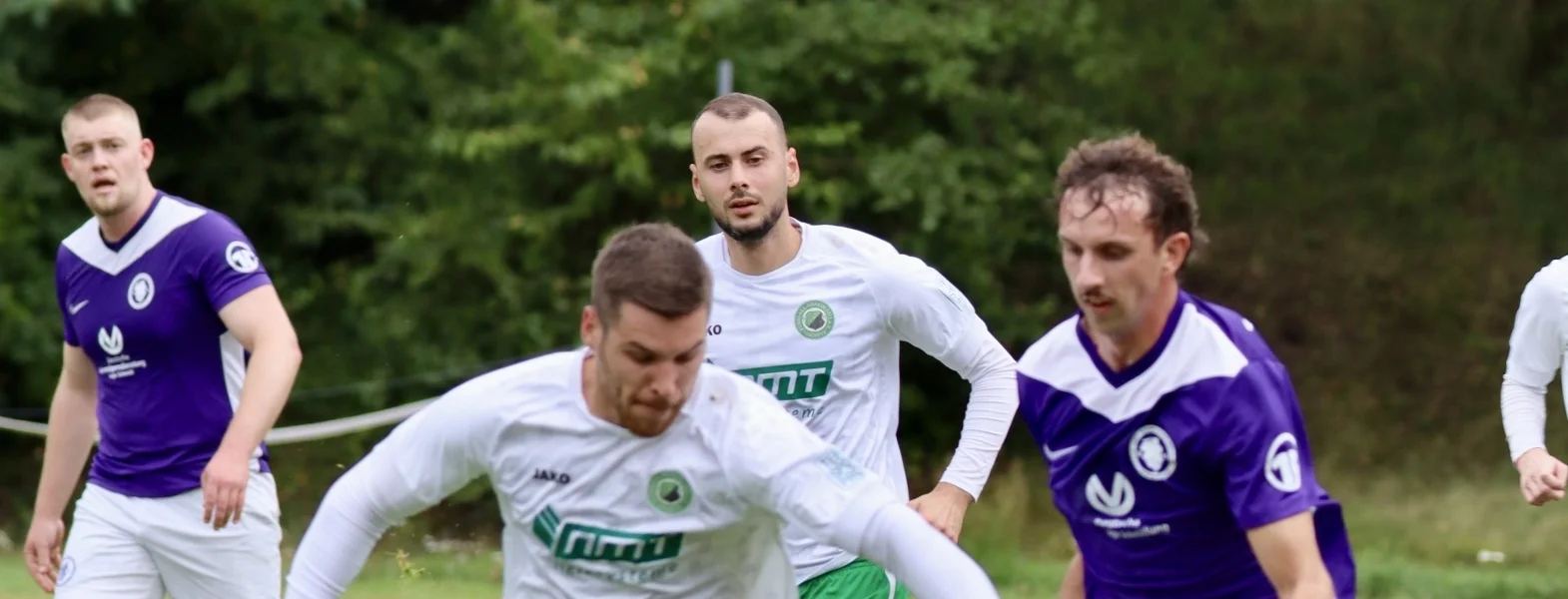Bannerbild