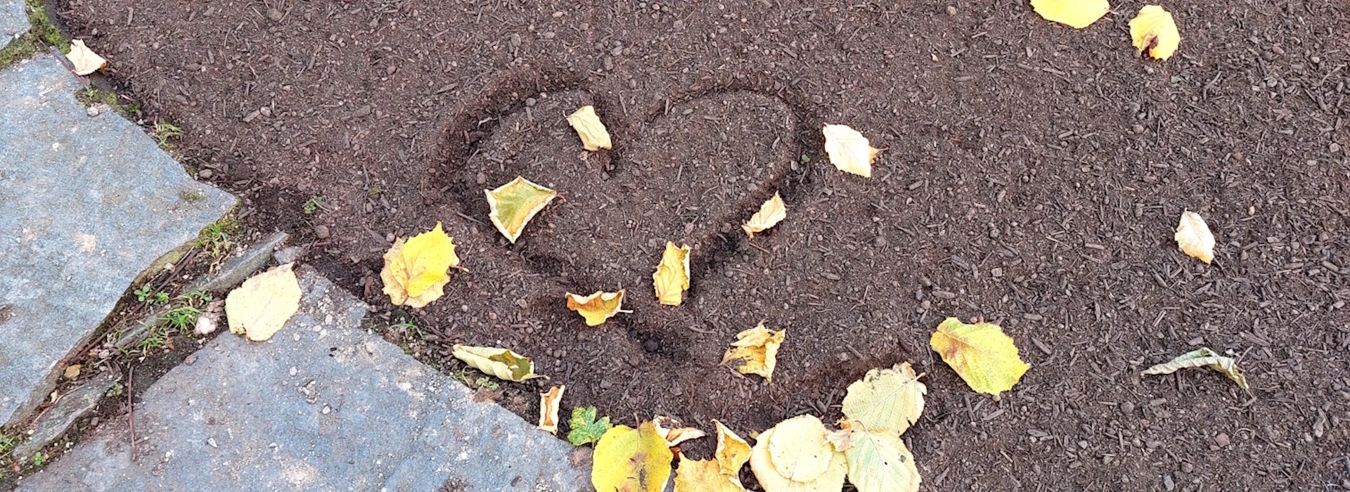 Bannerbild | zur Startseite
