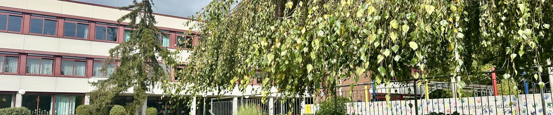 Bannerbild