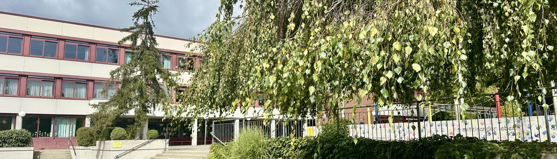 Bannerbild