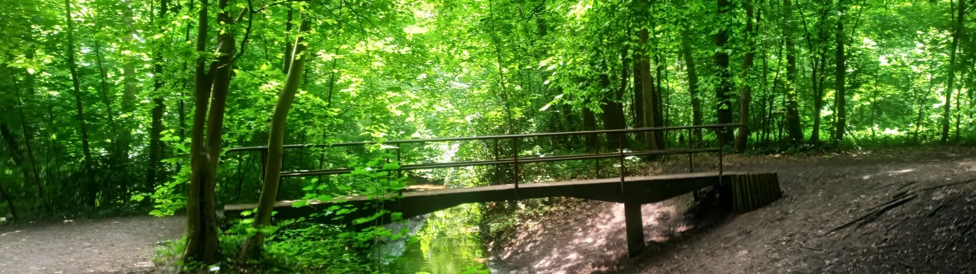 Samstagswandergruppe Mai 2025 Wietzegraben | zur Startseite