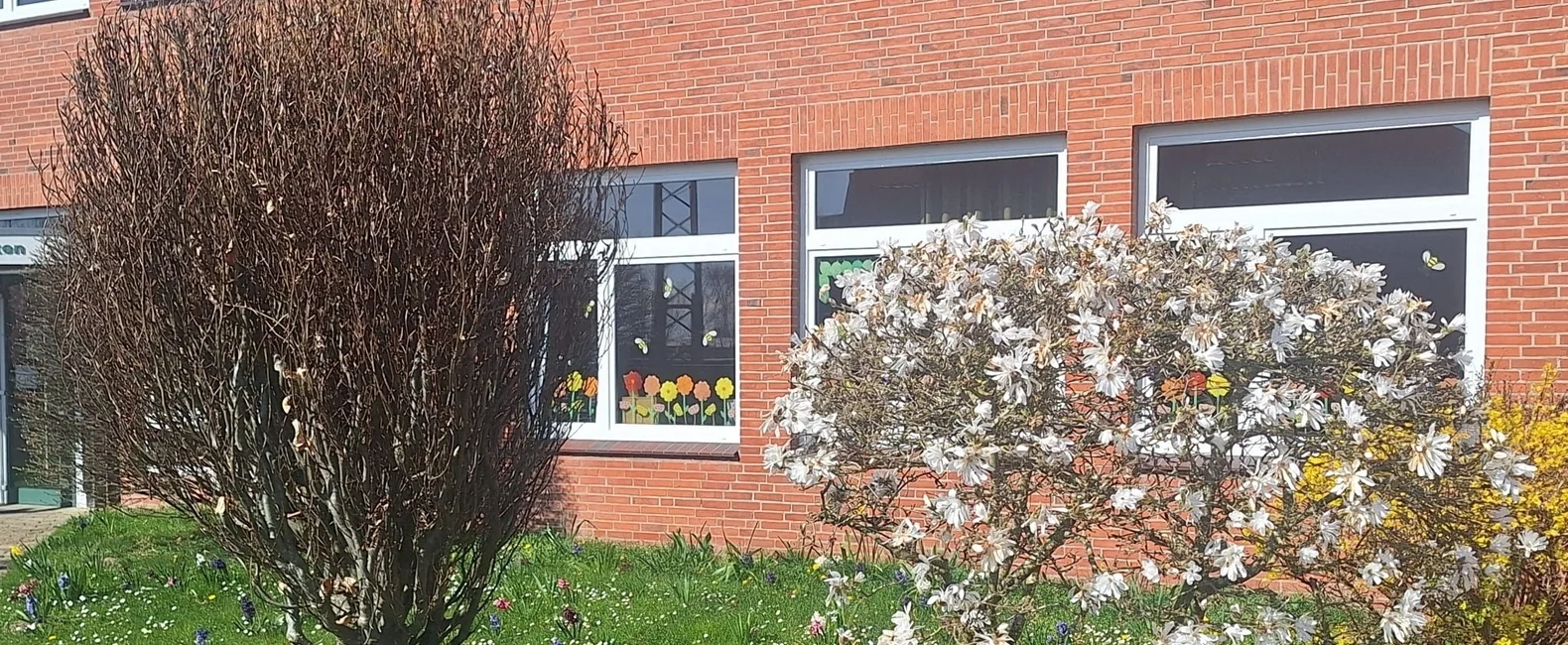 Bannerbild