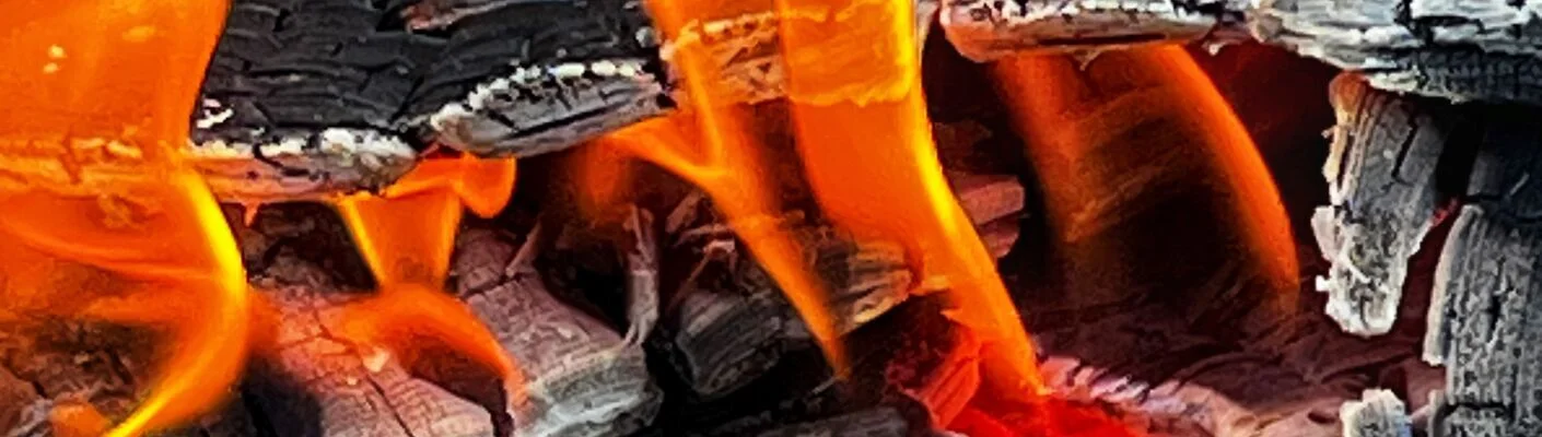 Bannerbild | zur Startseite