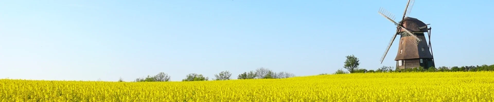 Mühle Farve, Copyright: Astrid Schock