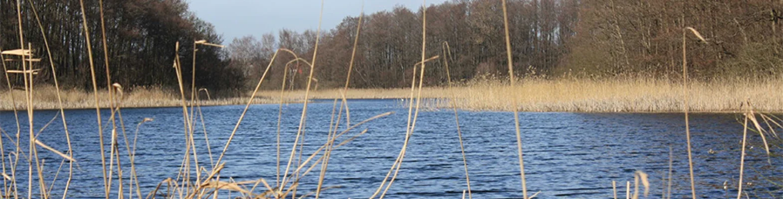 Bannerbild | zur Startseite
