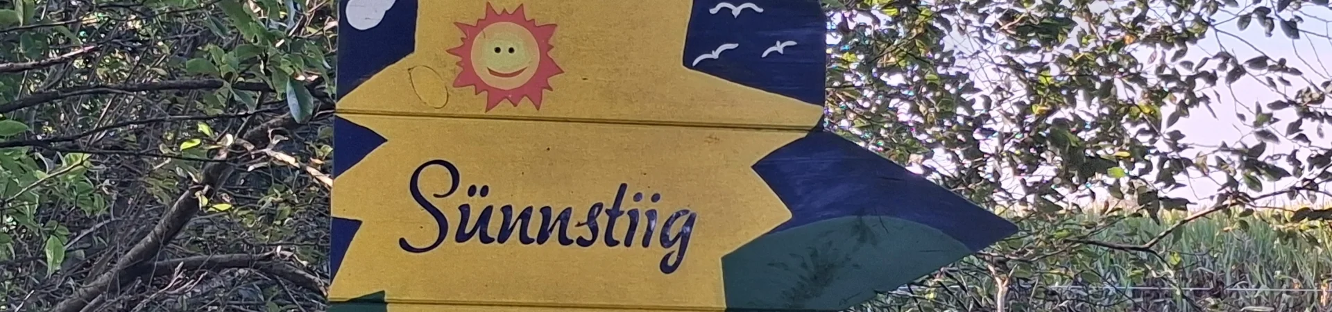 Bannerbild