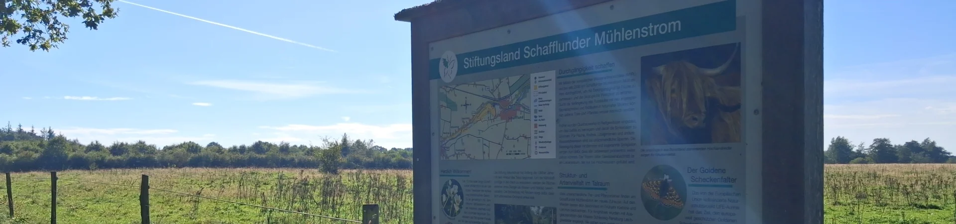 Bannerbild