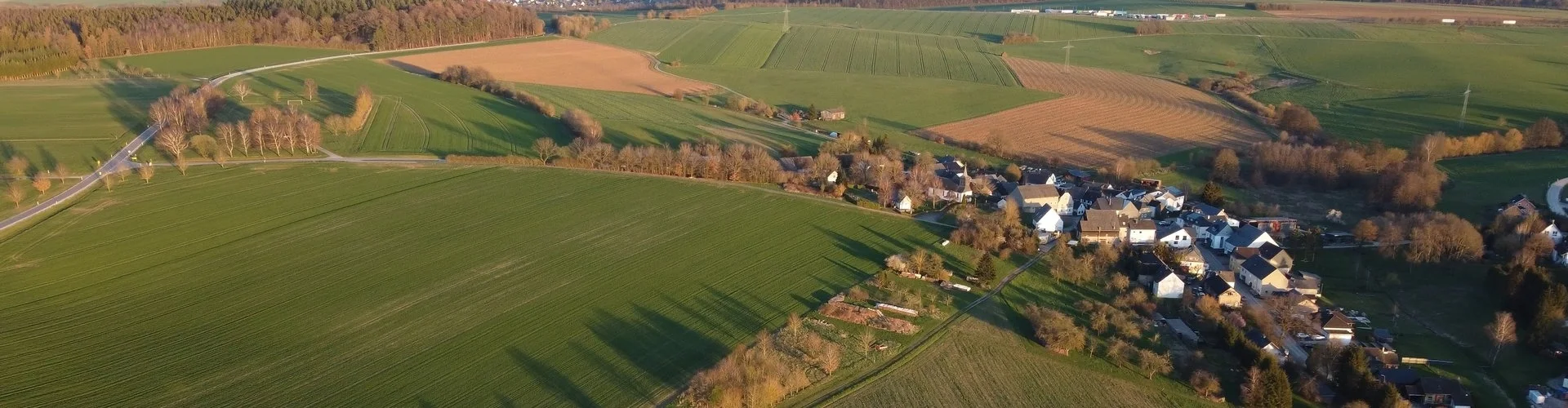 Luftbild von Schnorbach im Abendlicht, umgeben von Feldern und Alleen | zur Startseite