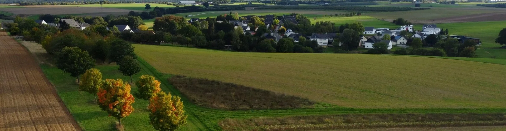 Herbstlich gefärbte Baumreihe am Feldrand, im Hintergrund Schnorbach | zur Startseite