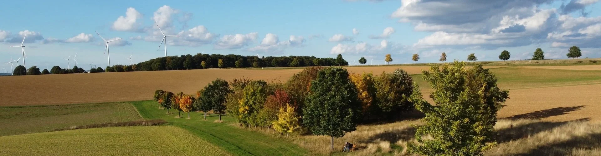 Herbstlich gefärbte Hecke zwischen Feldern, am Horizont Windräder | zur Startseite