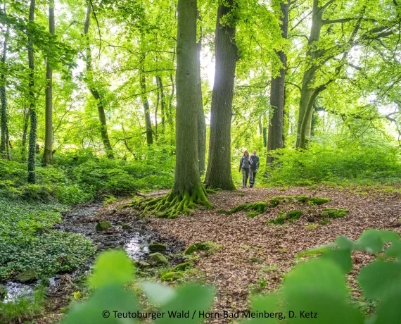 Fasten wandern yoga
