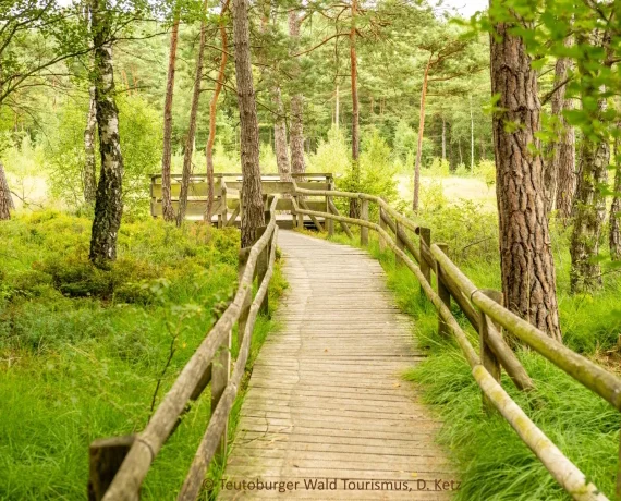 Waldweg