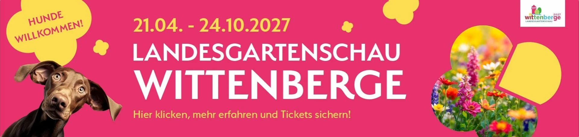 Bannerbild