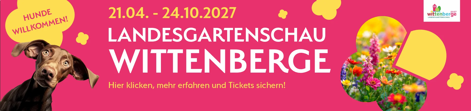 Bannerbild