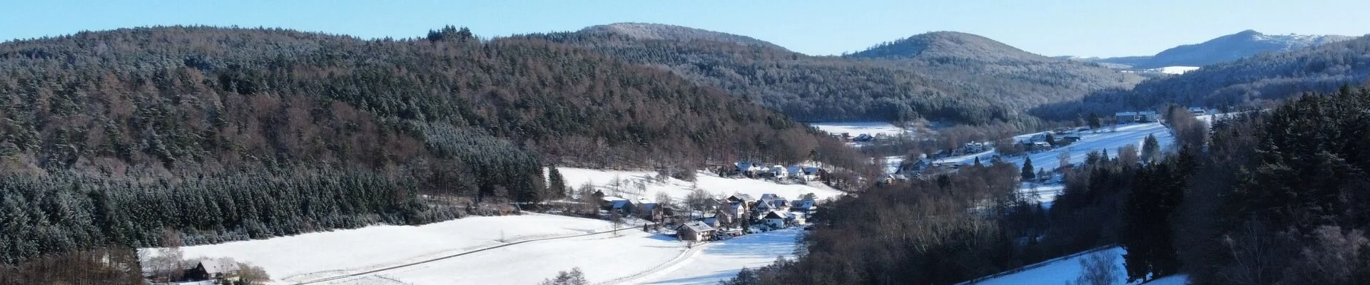 Bannerbild
