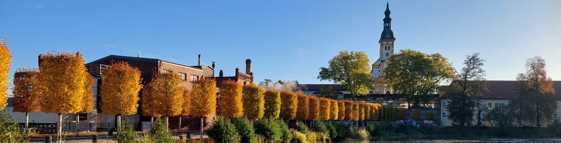 Blick über den Klosterteich | zur Startseite