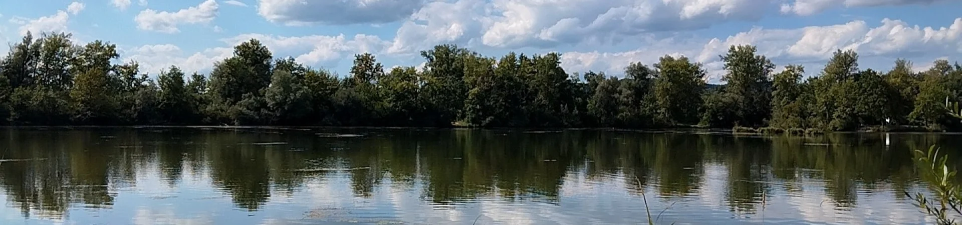 Bannerbild