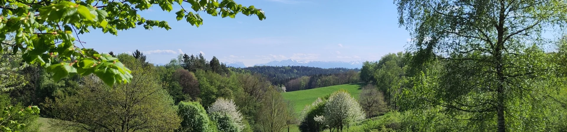 Bannerbild