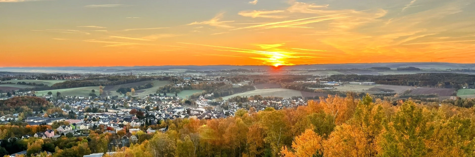 Bannerbild