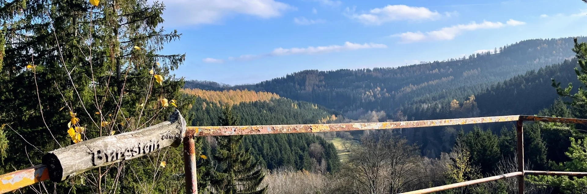 Bannerbild