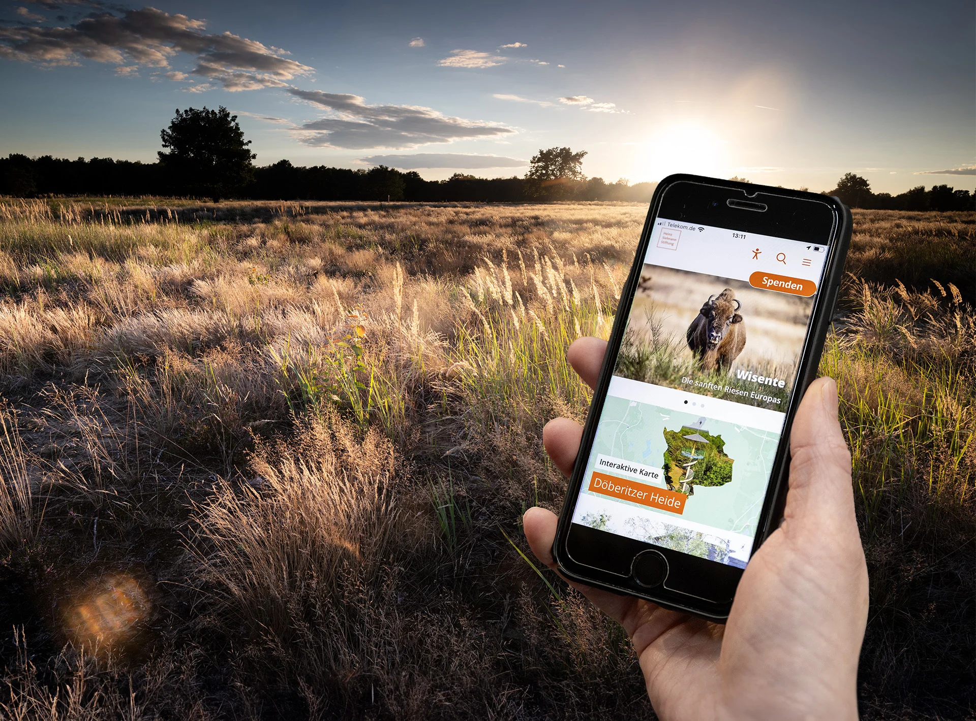 Sielmann Biodiversity-App (Foto: Sebastian Hennigs)