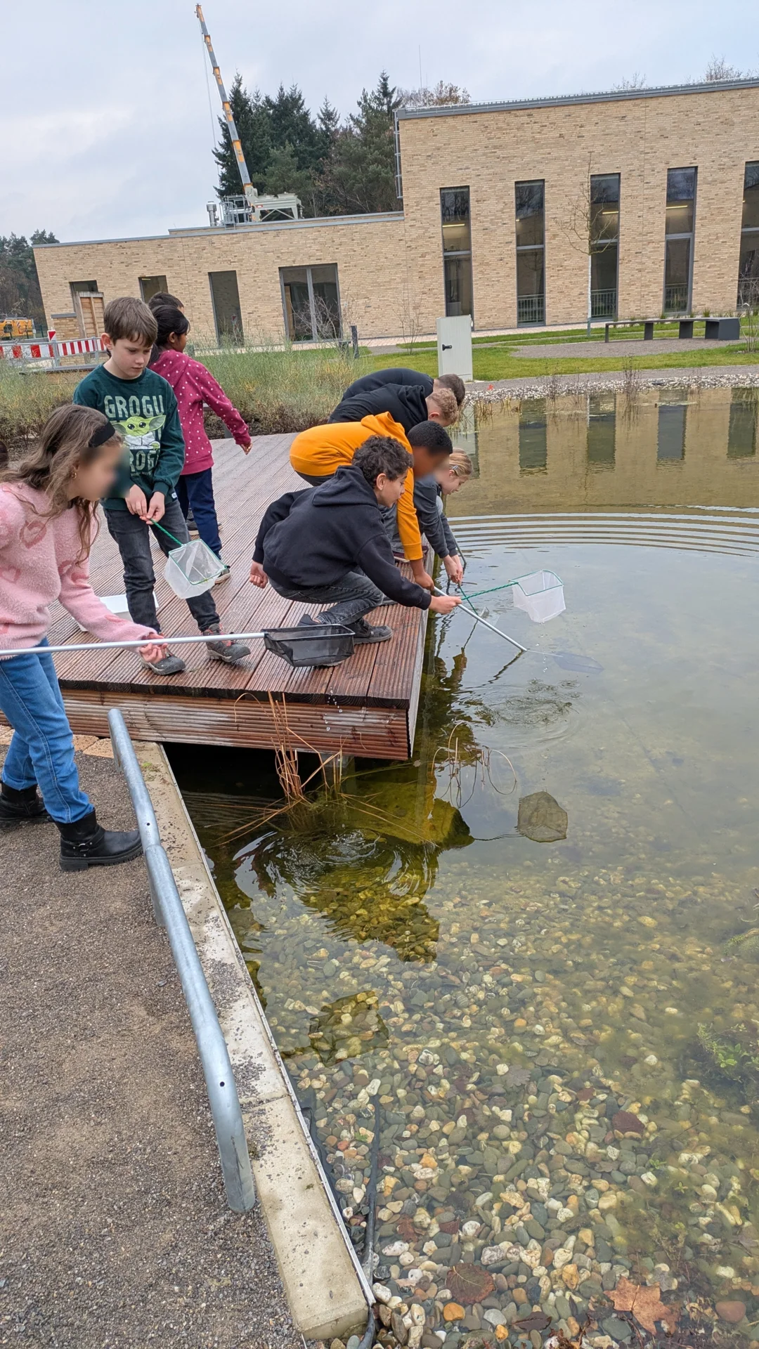 WasserWerkstatt Kescher und Daphnien