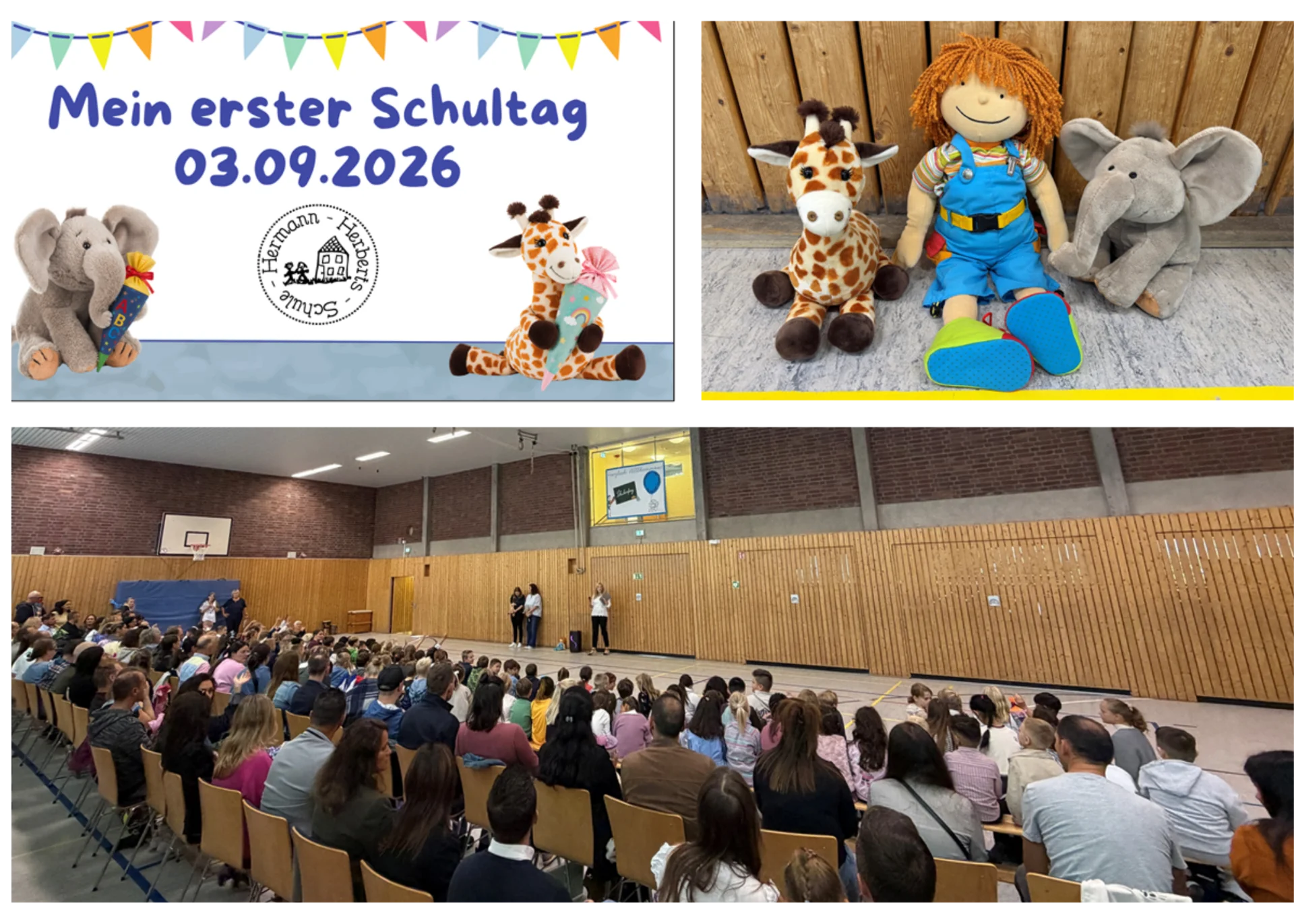 EInschulung