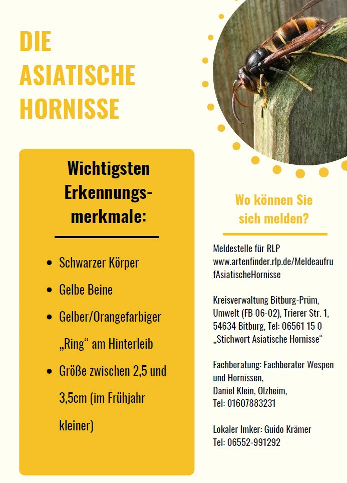 Flyer 2