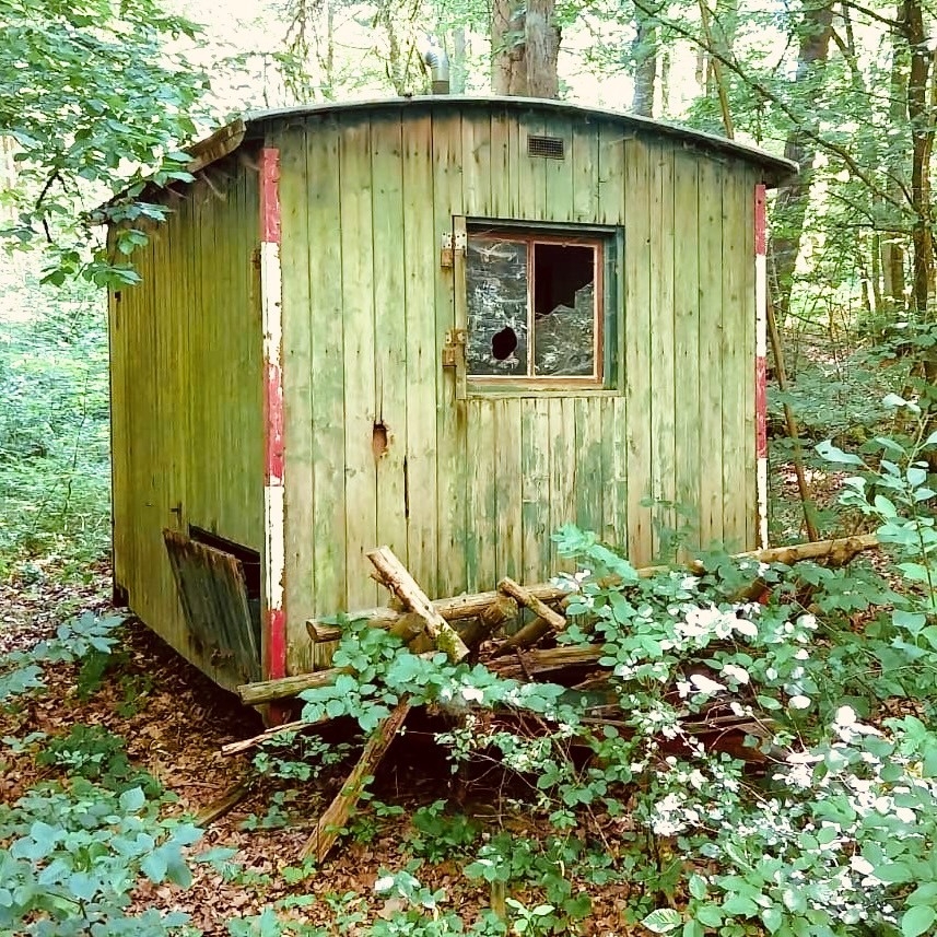 Bauwagen_Wald1