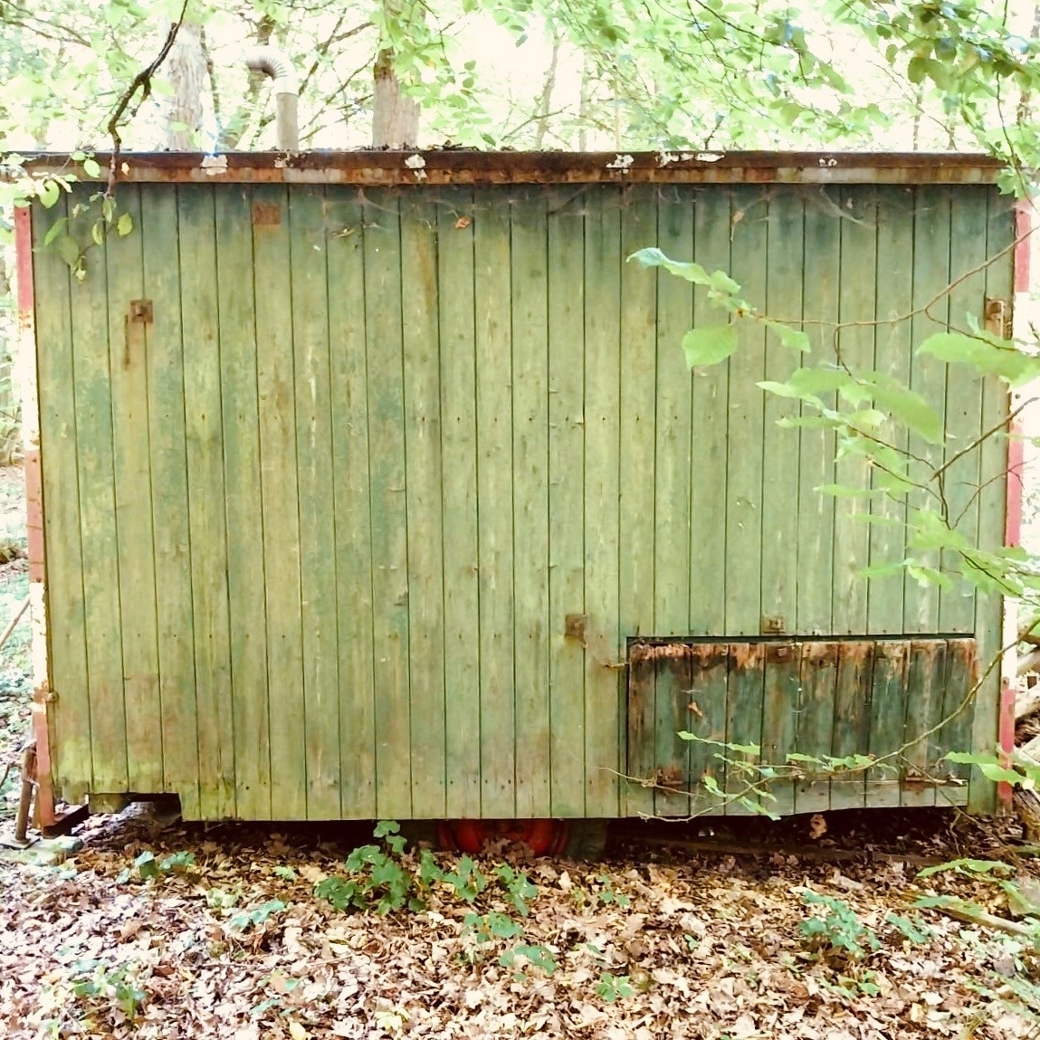 Bauwagen_Wald